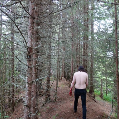 GJENDØD - Nedstigning LP (RED)