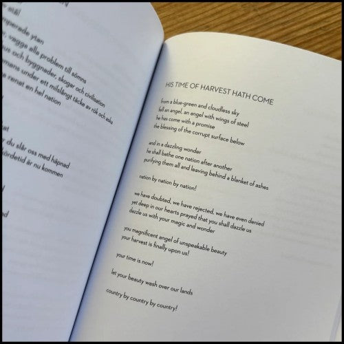 NIKLAS KVARFORTH - When Prozac No Longer Helps BOOK (PREORDER)