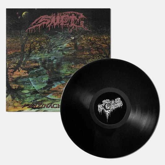 SNET - V bažinách vědomí LP (PREORDER)