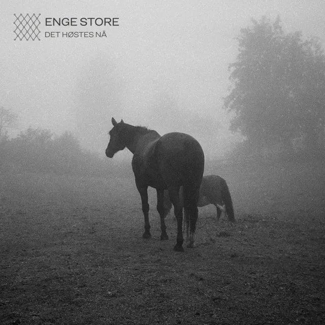 ENGE STORE - Det høstes nå CD