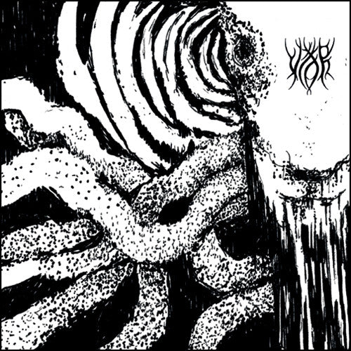 VITHR - Hedensk Skikk Og Tro CD