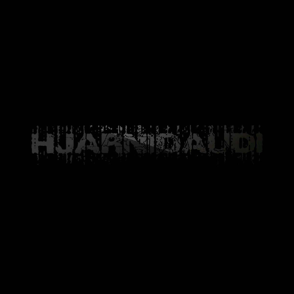 HJARNIDAUDI - 10 Years 2LP BOX
