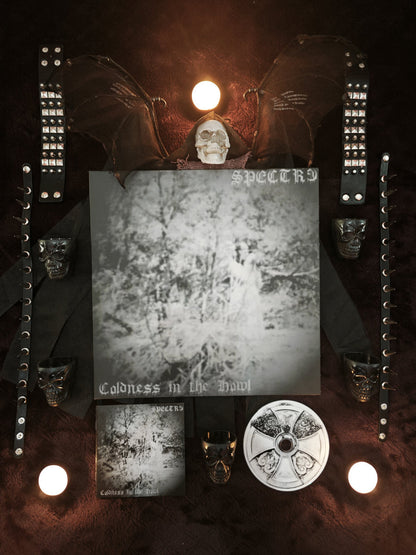 SPECTR3 - Coldness In The Howl LP