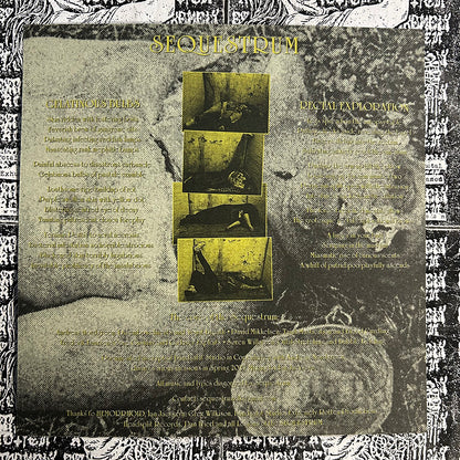 HEMORRHOID / SEQUESTRUM – Split 7″ EP