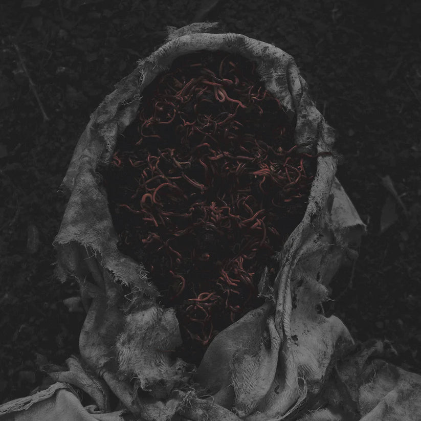 GORRCH - Stillamentum CD