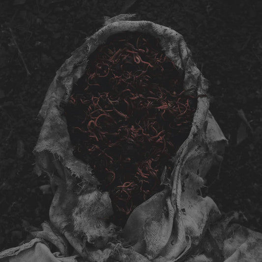 GORRCH - Stillamentum CD