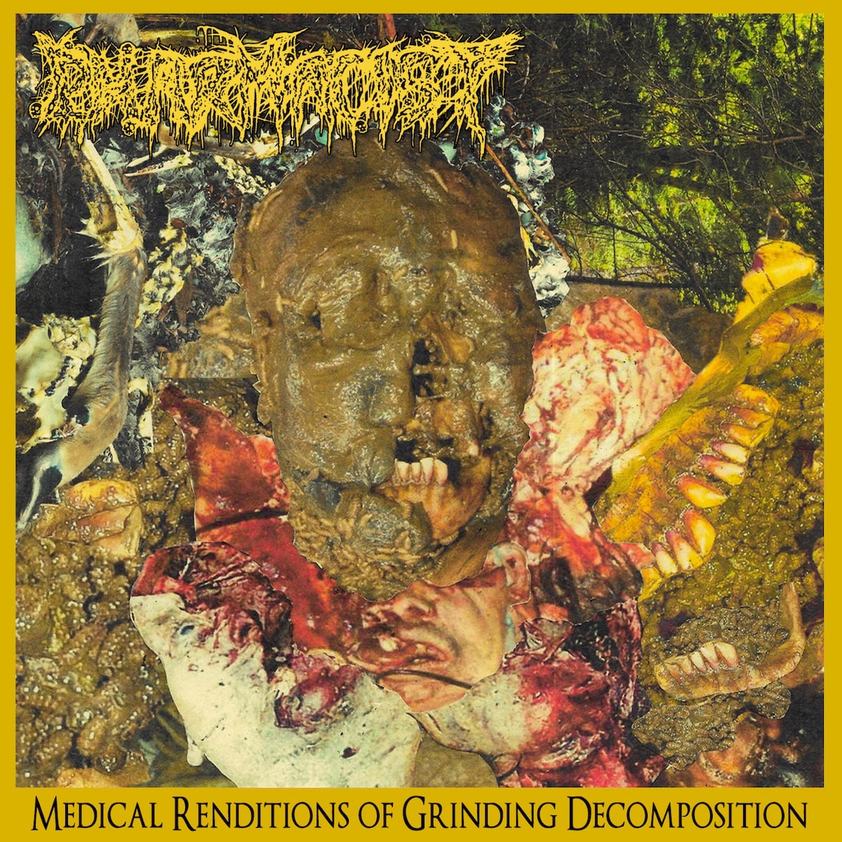 PHARMACIST - Medical Renditions Of Grinding Decomposition LP