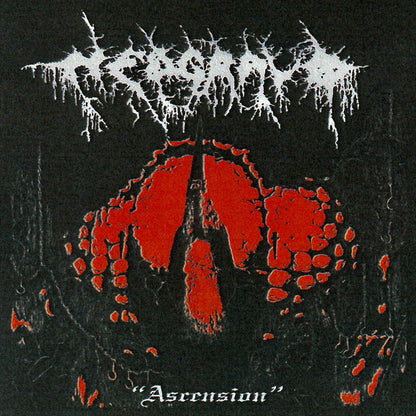 NEDGRAVD - Ascension CD (PREORDER)