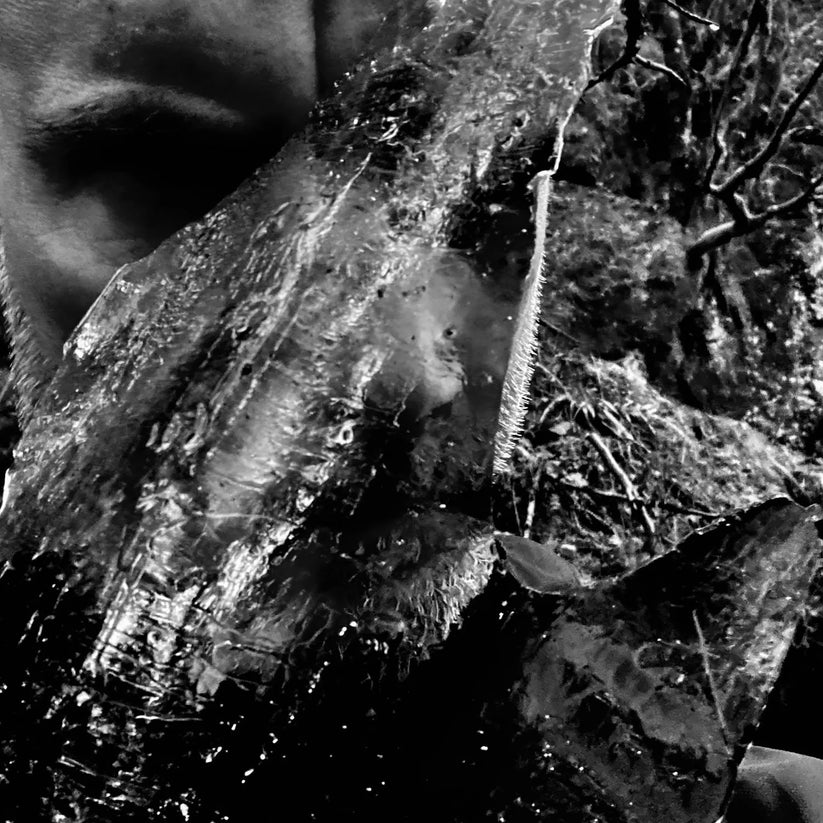 TAAKE - En Skog av Nidstang CD (PREORDER)