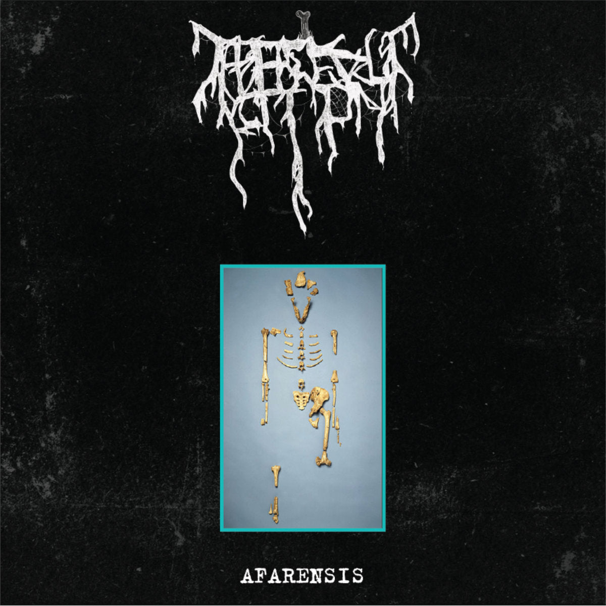 BONE ABDUCTION - Afarensis EP (PREORDER)