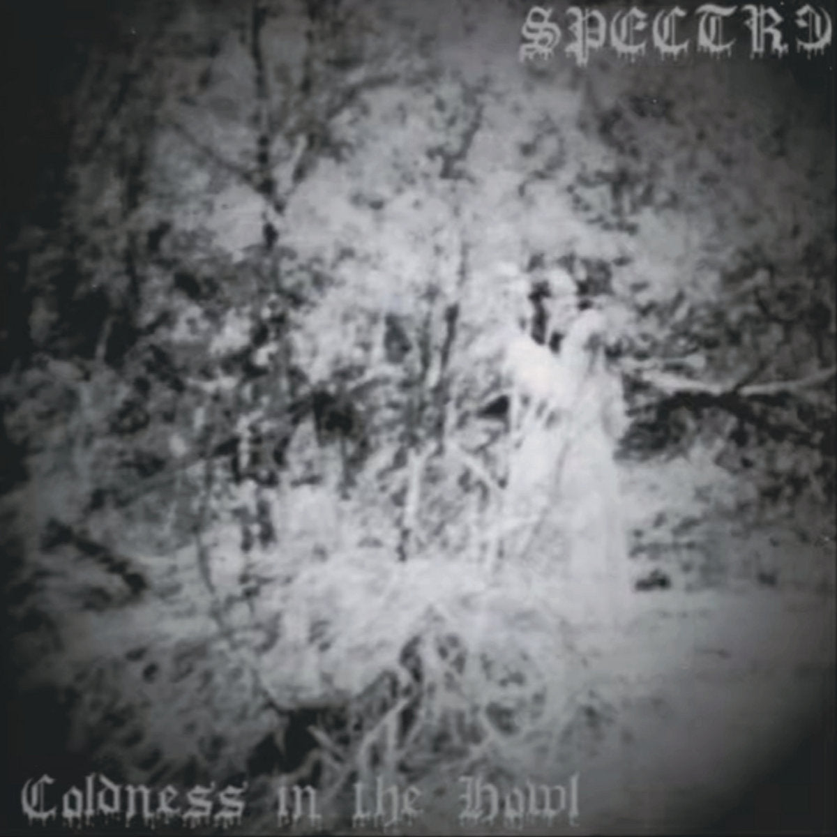 SPECTR3 - Coldness In The Howl LP