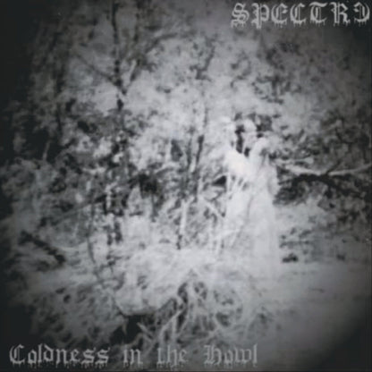 SPECTR3 - Coldness In The Howl LP