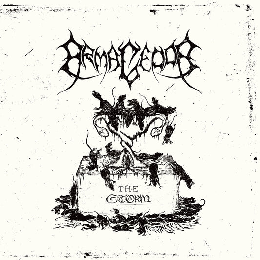 ARMAGEDDA - The Storm 7"EP (PREORDER)