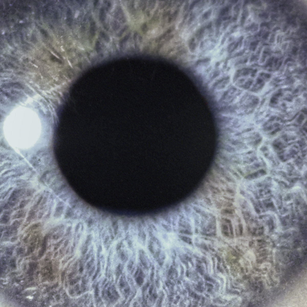 DAN SWANÖ - Moontower 2CD (PREORDER)