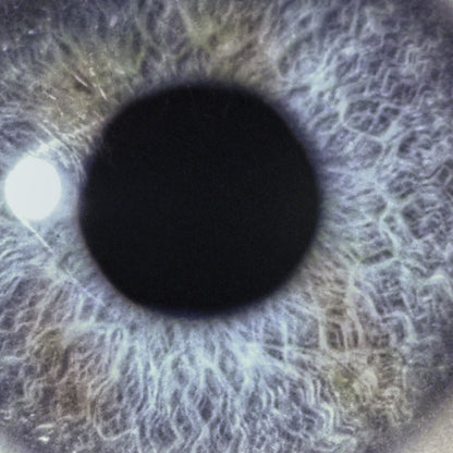 DAN SWANÖ - Moontower LP (BLUE) (PREORDER)