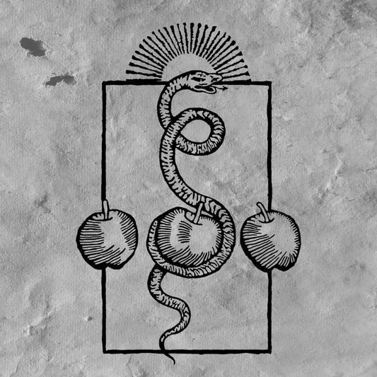 DARVAZA - We Are Him CD (PREORDER)