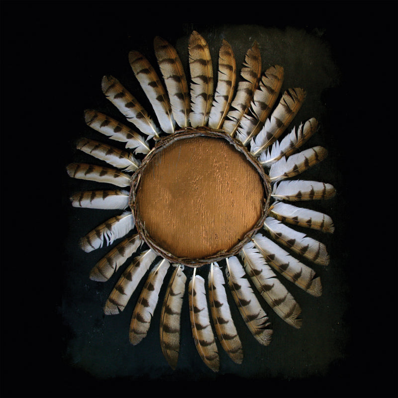 FAUNA - Avifauna CD