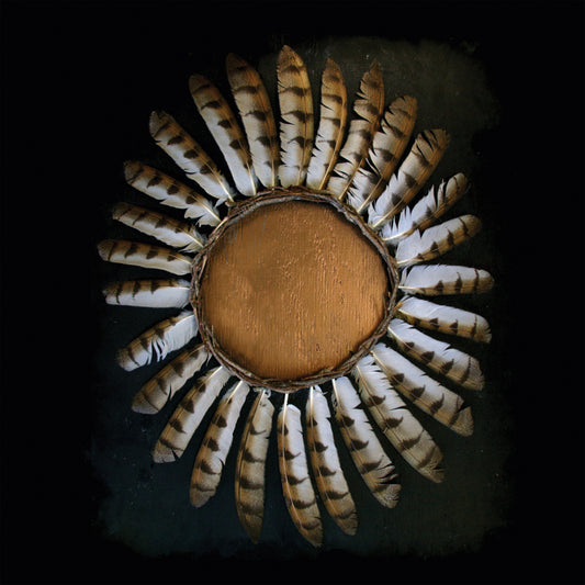FAUNA - Avifauna CD