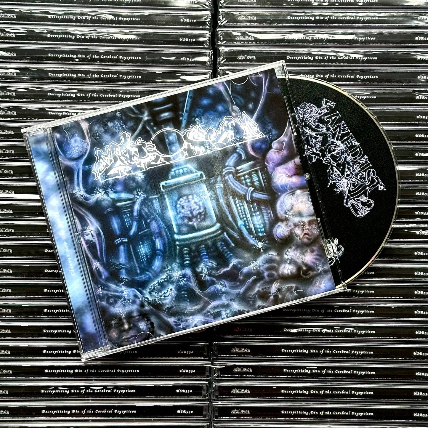 FAKE DUST - Decrepitizing Din Of The Cerebral Psyopticon CD (PREORDER)
