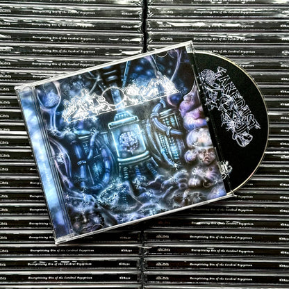 FAKE DUST - Decrepitizing Din Of The Cerebral Psyopticon CD (PREORDER)