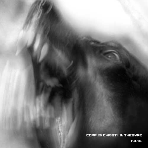CORPUS CHRISTII/ THESYRE - F.O.A.D. Split CD