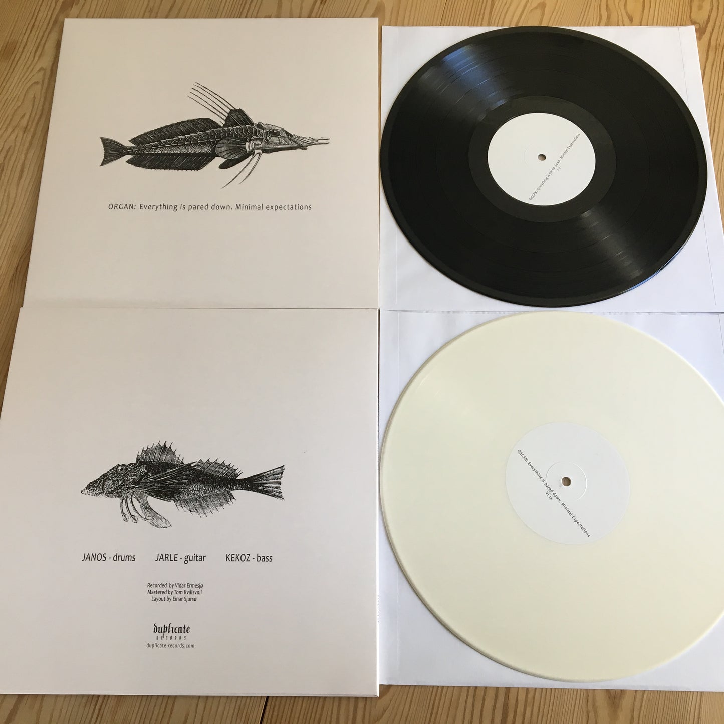ORGAN: - Everything Is Pared Down. Minimal Expectations LP (BLACK)