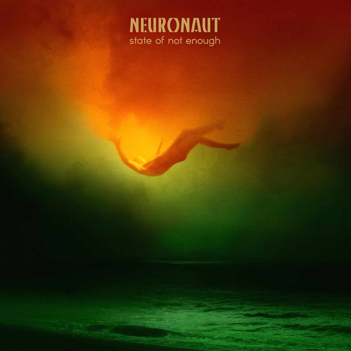 NEURONAUT - State Of Not Enough LP (BLACK)