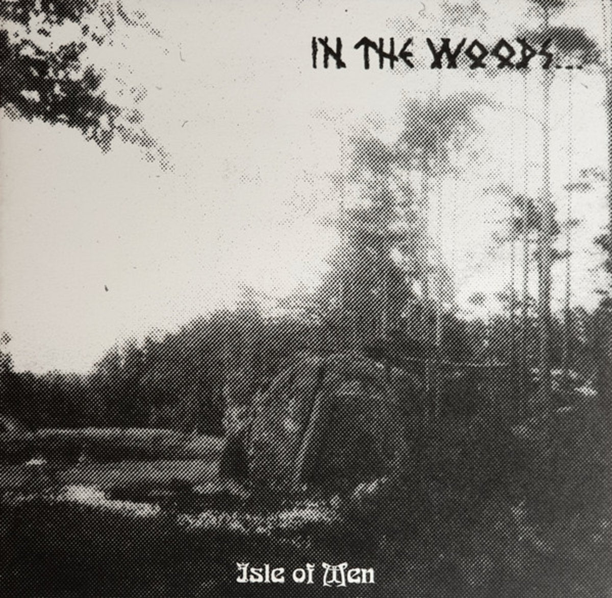 IN THE WOODS - Isle Of Men LP (MARBLE)