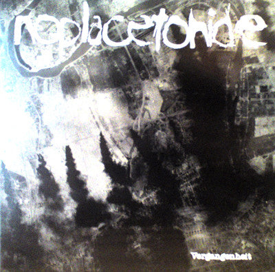 noplacetohide - Vergangenheit LP